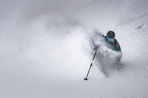 Powder Alert – Wo Skifahren?