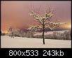 Wintertale0002b.jpg