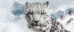 International Snow Leopard Day