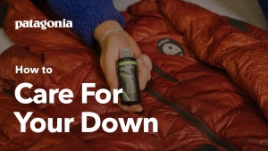 How to Care for Your Down